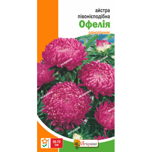 Астра пионовидная Офелия  0,3г